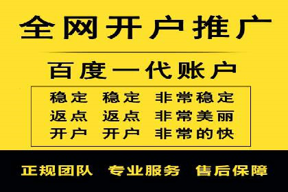 行业领先的SEM推广代运营公司案例集锦